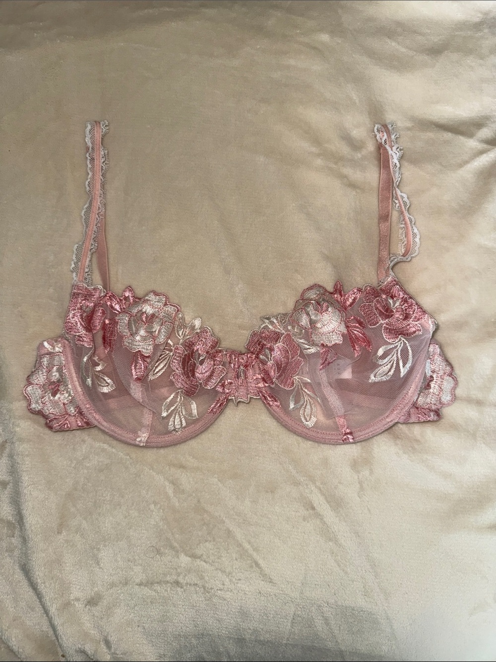 Hello LA Girl Sheer Rose Embroidered Underwire Bra - 36C